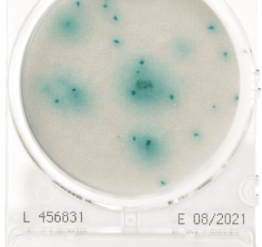 CompactDry YMR Yeast and Mold Rapid - Shimadzu