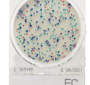 CompactDry EC Ecoli Coliform – Shimadzu