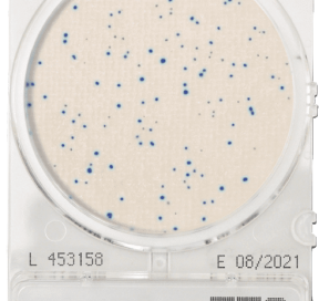 CompactDry ETC Enterococcus – Shimadzu
