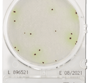 CompactDry PA Pseudomonas Aeruginosa – Shimadzu