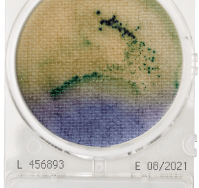 CompactDry SL Salmonella – Shimadzu