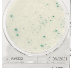 CompactDry VP Vibrio Parahaemolyticus – Shimadzu